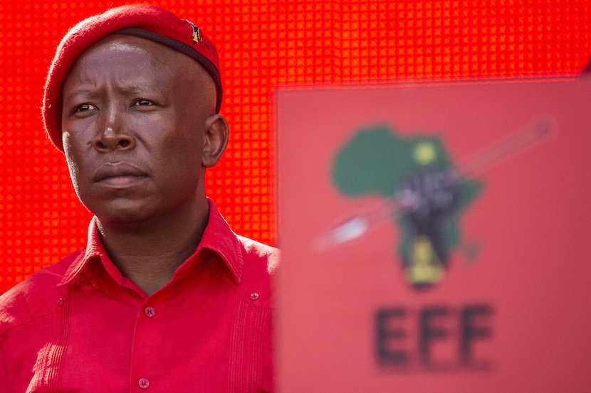 Economic Freedom Fighters leader Julius Malema