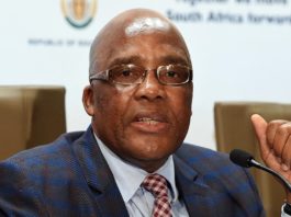 Aaron Motsoaledi