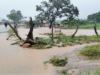 Over 500 homes affected by storms in parts of Eastern Cape over the weekend 500 homes affected
