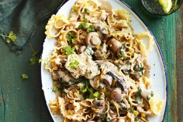 Mushroom stroganoff recipe