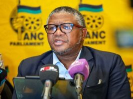 Fikile Mbalula