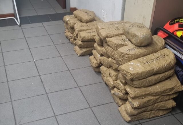 Western Cape police arrest two men in Overberg for possession of dagga worth about R66K